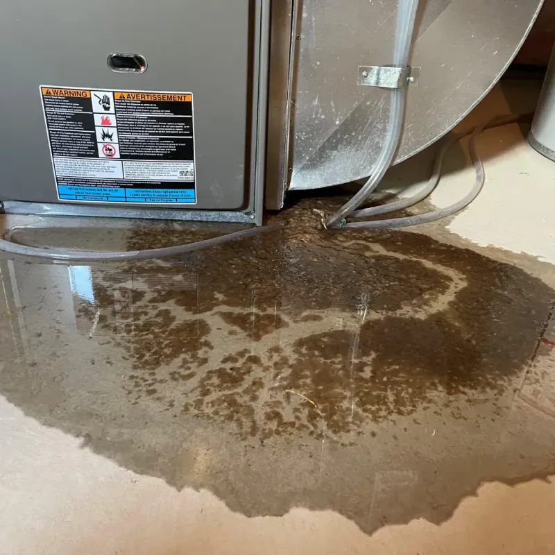 Appliance Leak Cleanup in Craig, CO