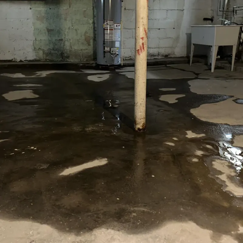 Emergency Water Extraction And Removal in Craig, CO